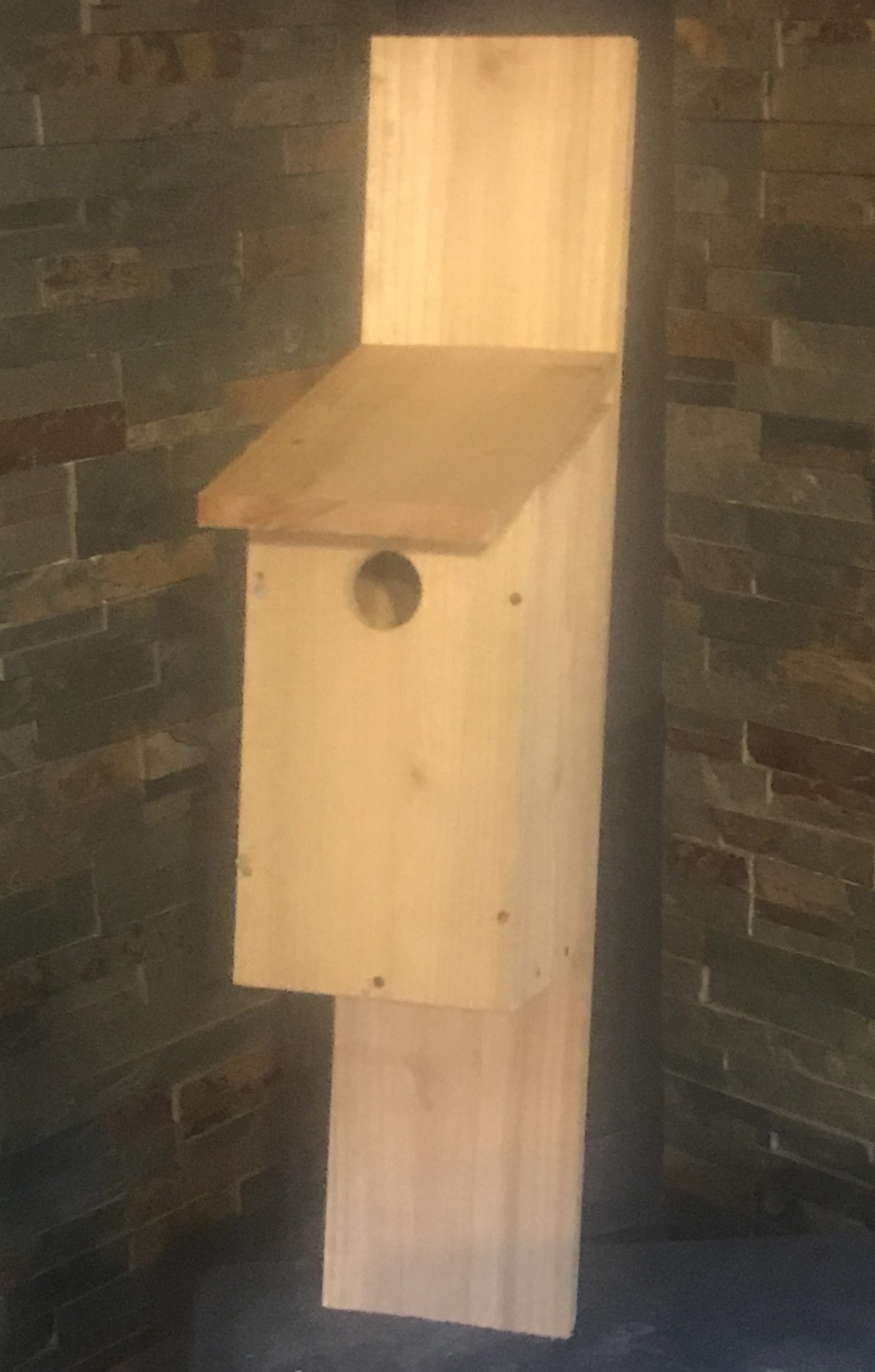 Bluebird house post install